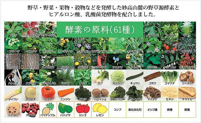 野草・野菜・果物・穀物などを発酵した妙高山麓の野草源酵素とヒアルロン酸、乳酸菌発酵物を配合しました。