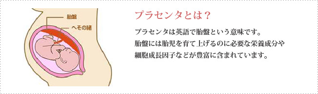 プラセンタとは?