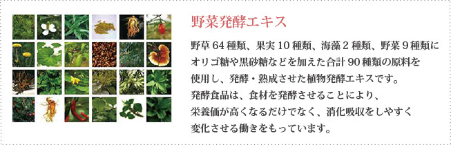 酵素